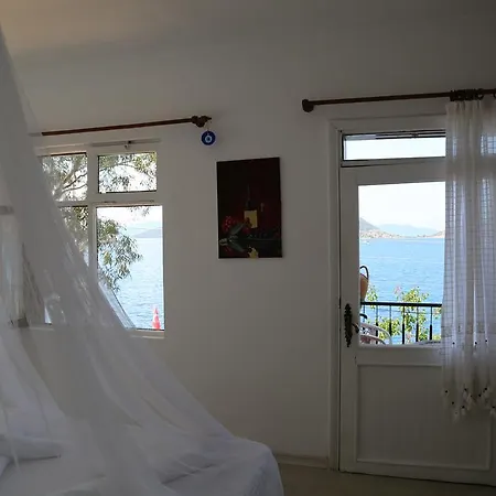 Pembe Yunus * Bozburun