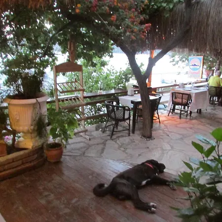 Otel Pembe Yunus Bozburun