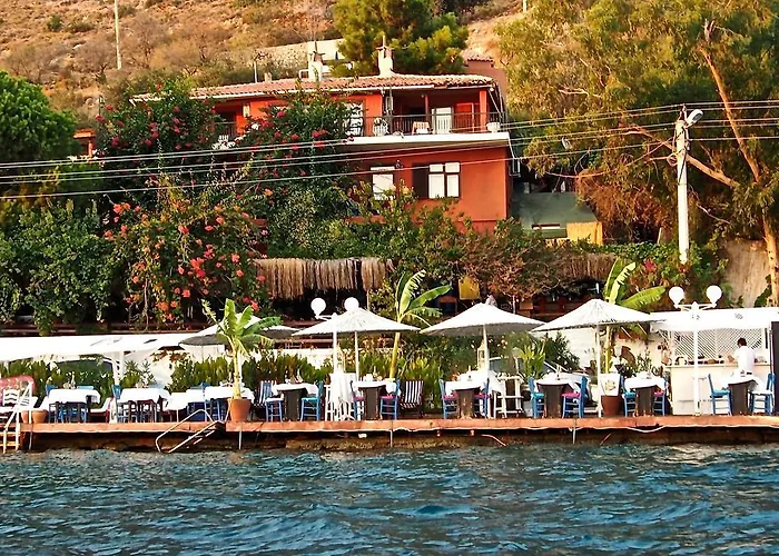 Pembe Yunus * בוזבורון