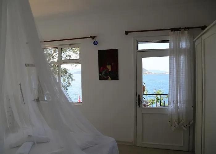 Pembe Yunus * בוזבורון