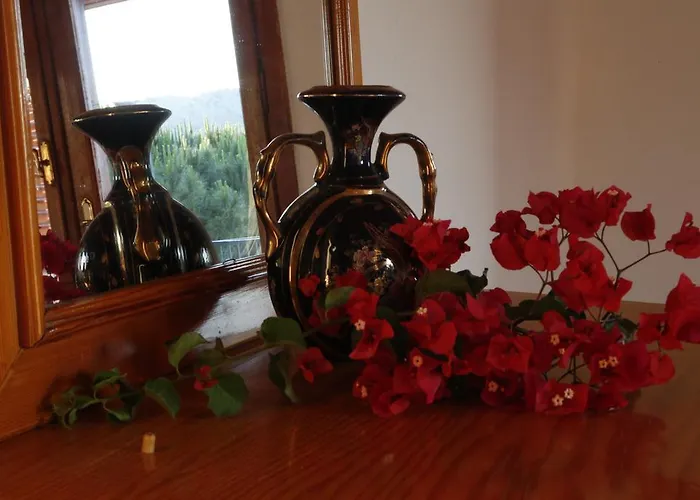 מלון Pembe Yunus בוזבורון