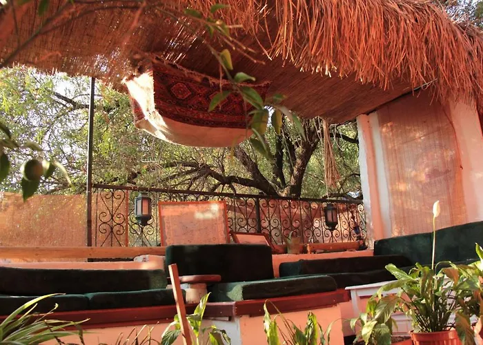 Pembe Yunus מלון *