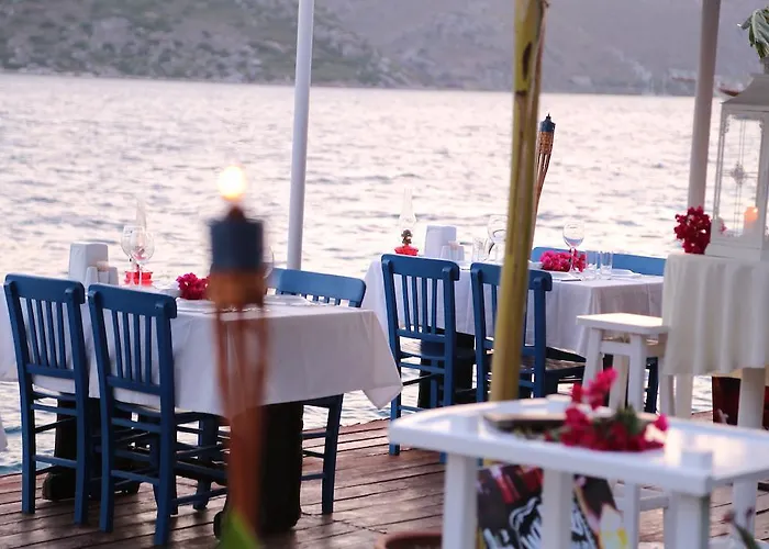 Pembe Yunus * בוזבורון