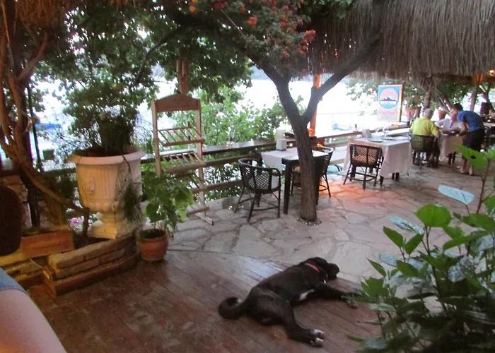 מלון Pembe Yunus בוזבורון